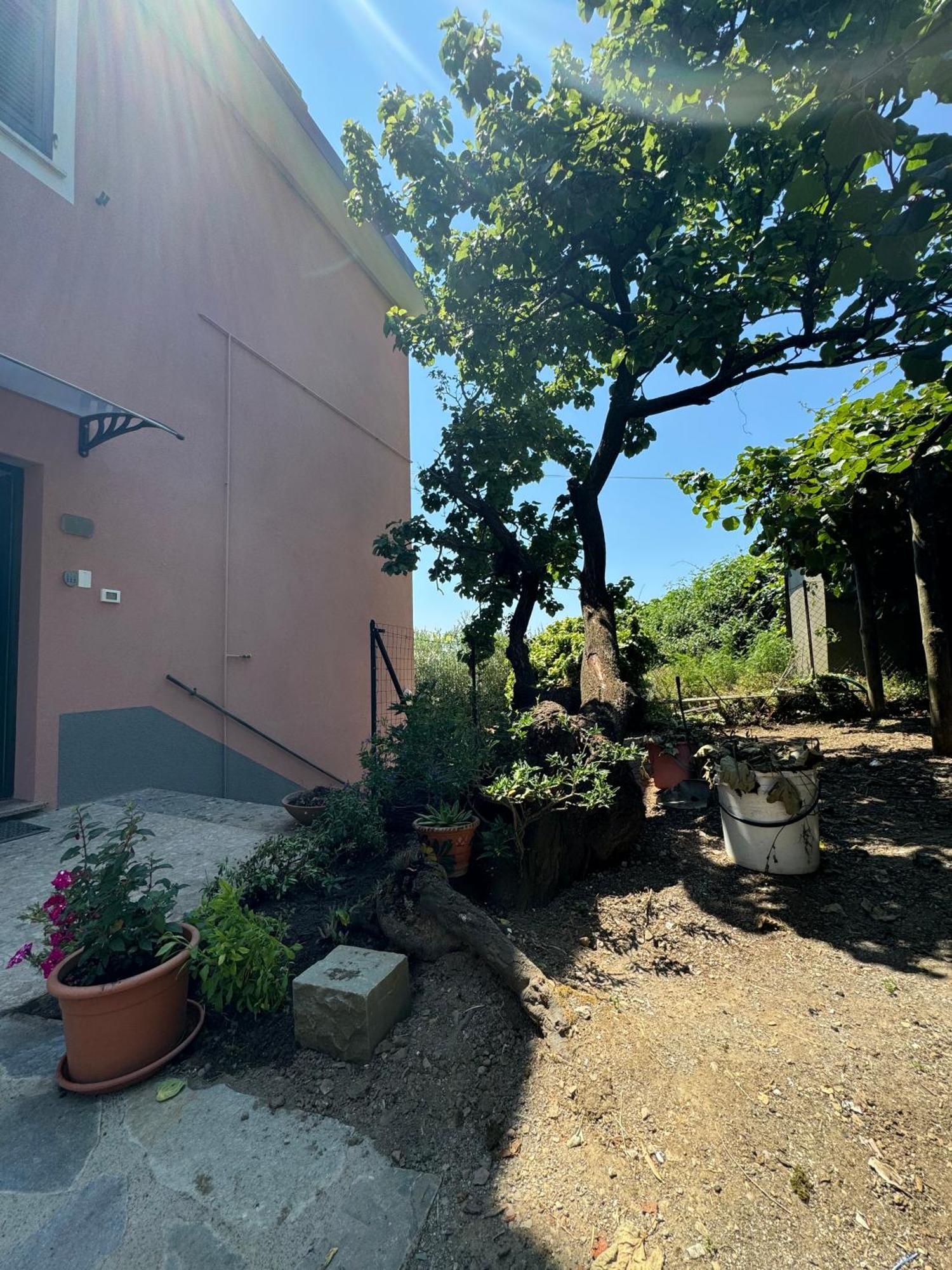 Ferienwohnung Ca' Dii Buersa - Homy 5 Terre Volastra Exterior foto